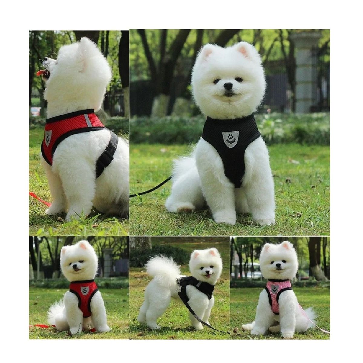 GENERICO - Arnés Y Correa Malla Transpirable Para Perro Pequeño Y Gatos