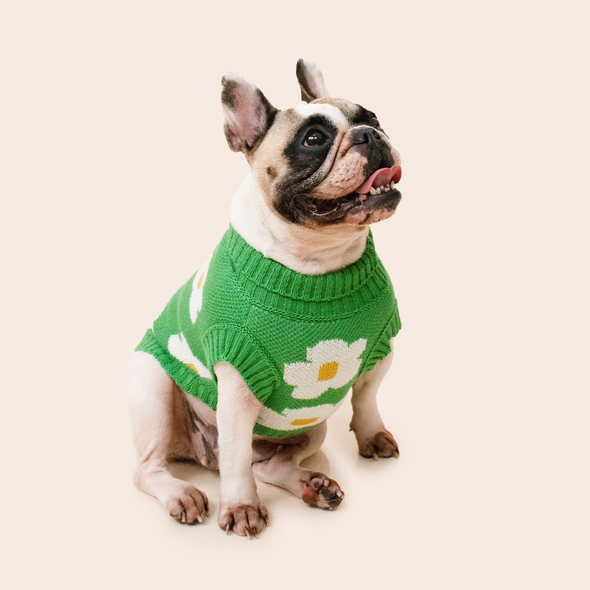 PRETTYPETS - SUETER FLORES VERDE XS PARA MASCOTAS PRETTY PET