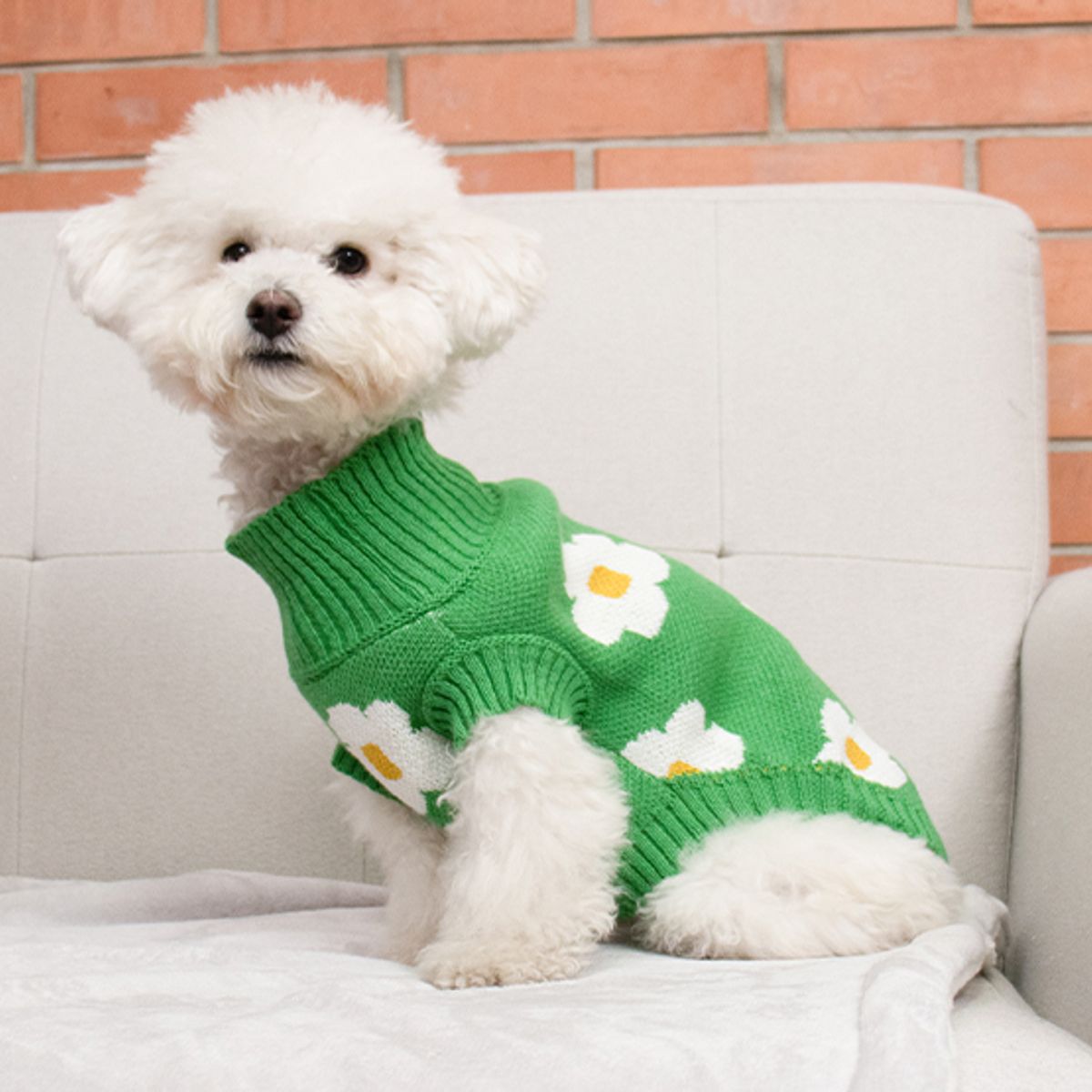 PRETTYPETS - SUETER FLORES VERDE M PARA MASCOTAS PRETTY PET