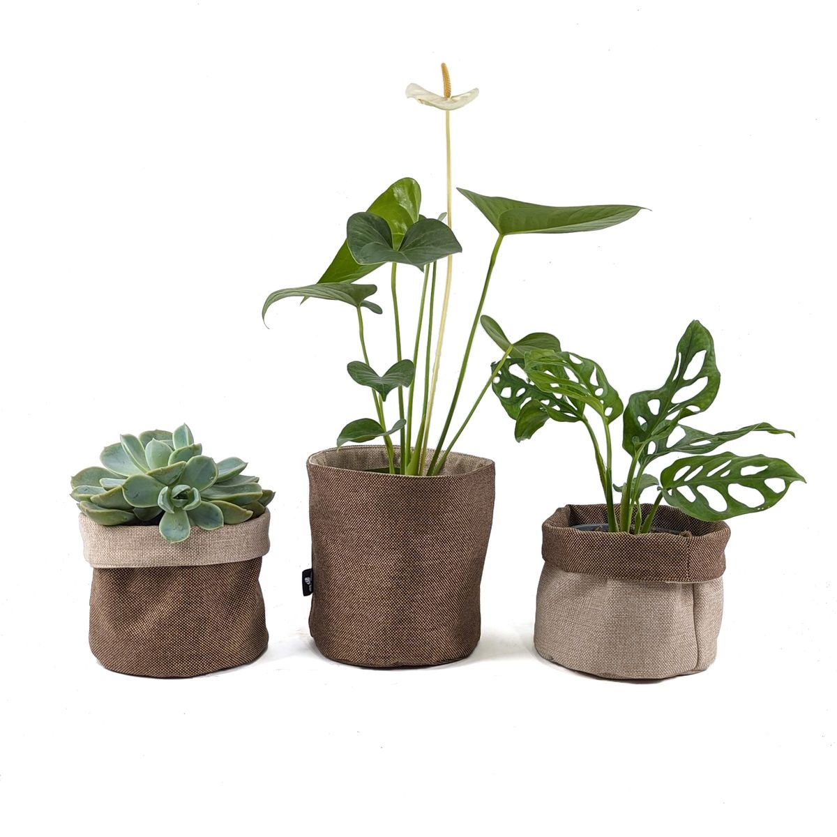 UN CUARTO VERDE - Porta Maceta de Tela Mediano Chocolate Canasto macetas y plantas 15cm