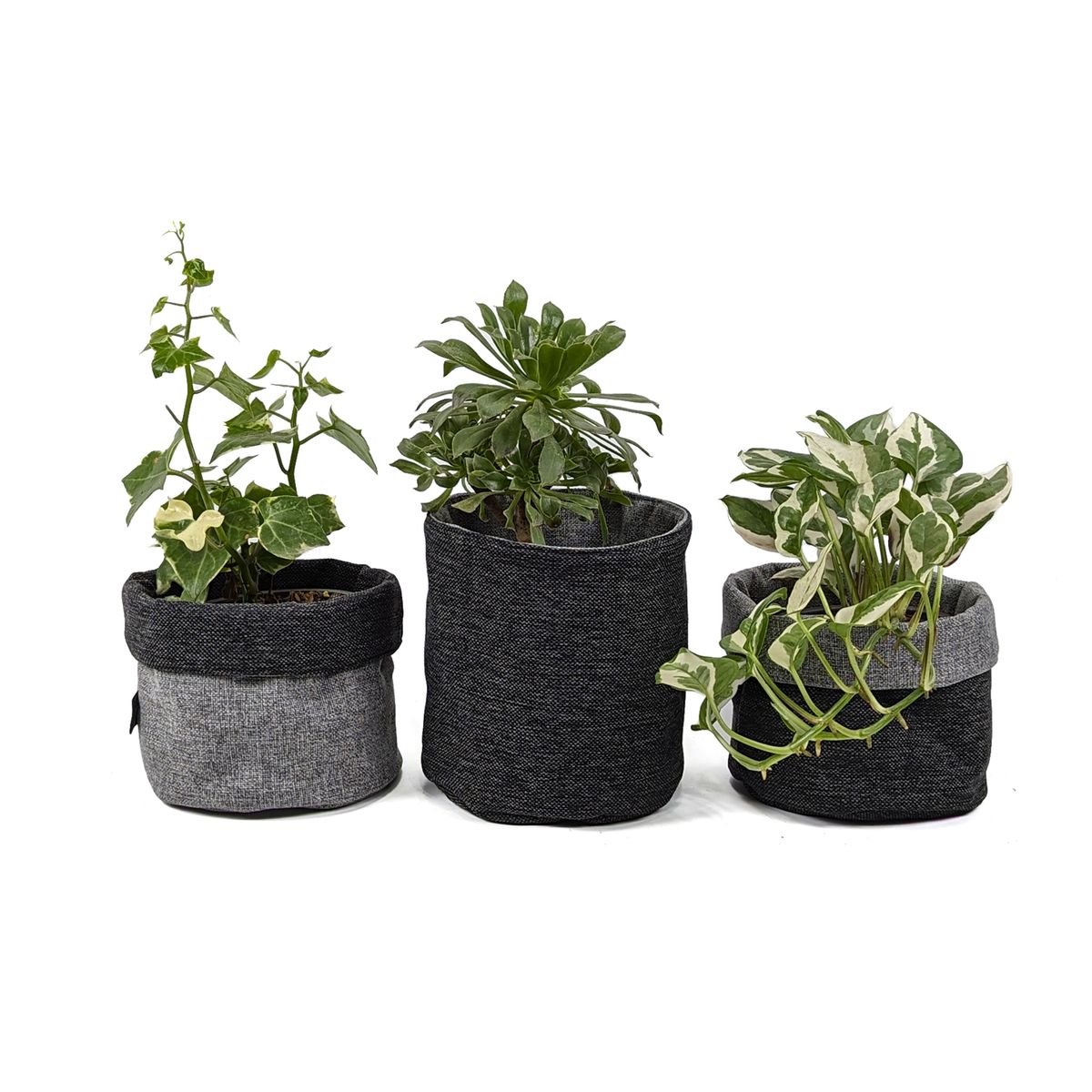 UN CUARTO VERDE - Porta Maceta de Tela Mediano Negro Canasto macetas y plantas 16x15cm