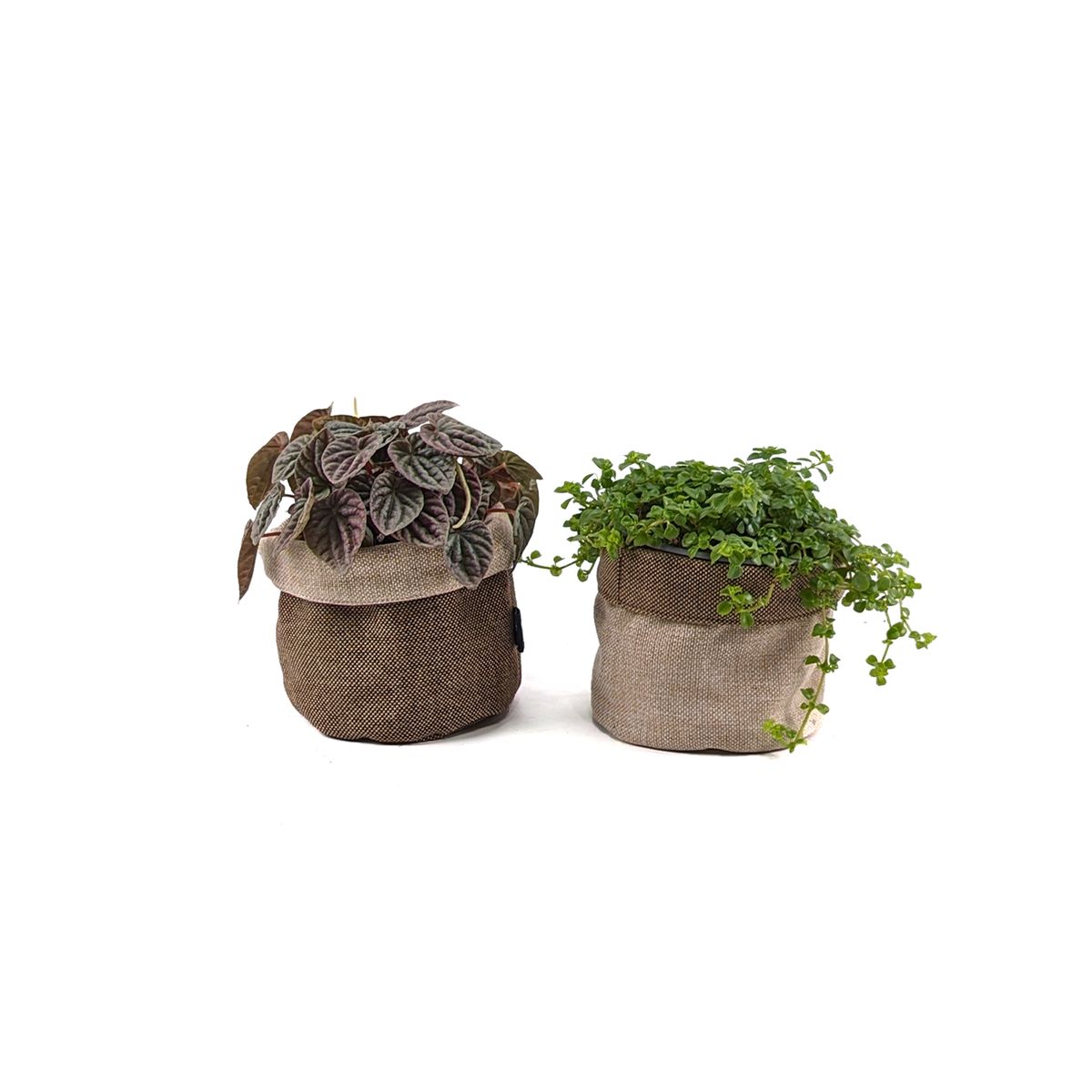 UN CUARTO VERDE - Porta Maceta de Tela Chocolate Mini Canasto de macetas y plantas 11cm