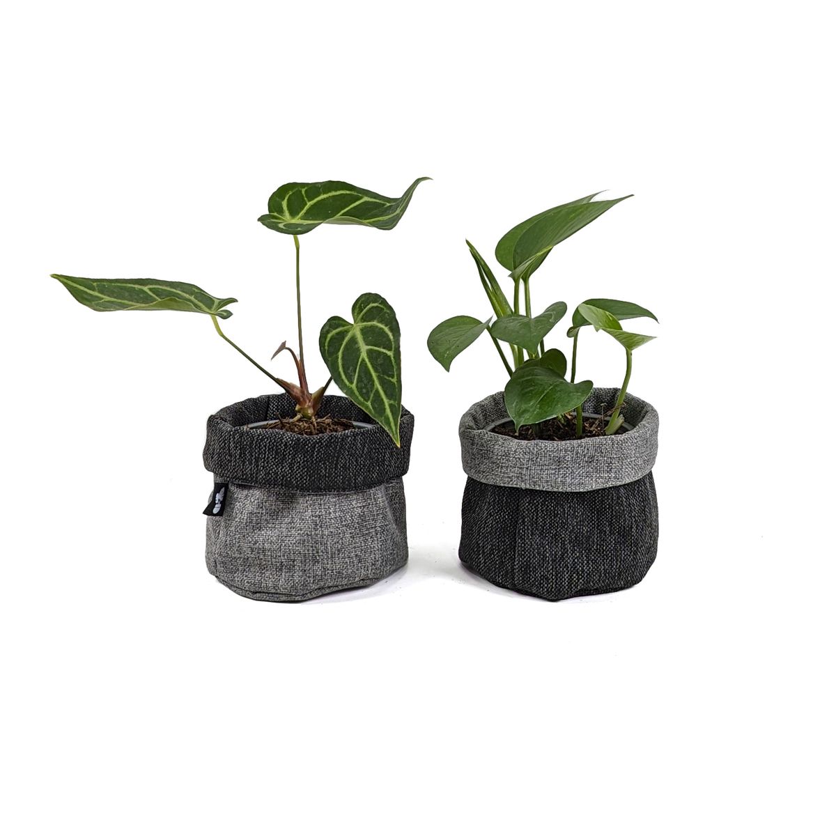 UN CUARTO VERDE - Porta Maceta de Tela Negro Mini Canasto de macetas y plantas 11cm