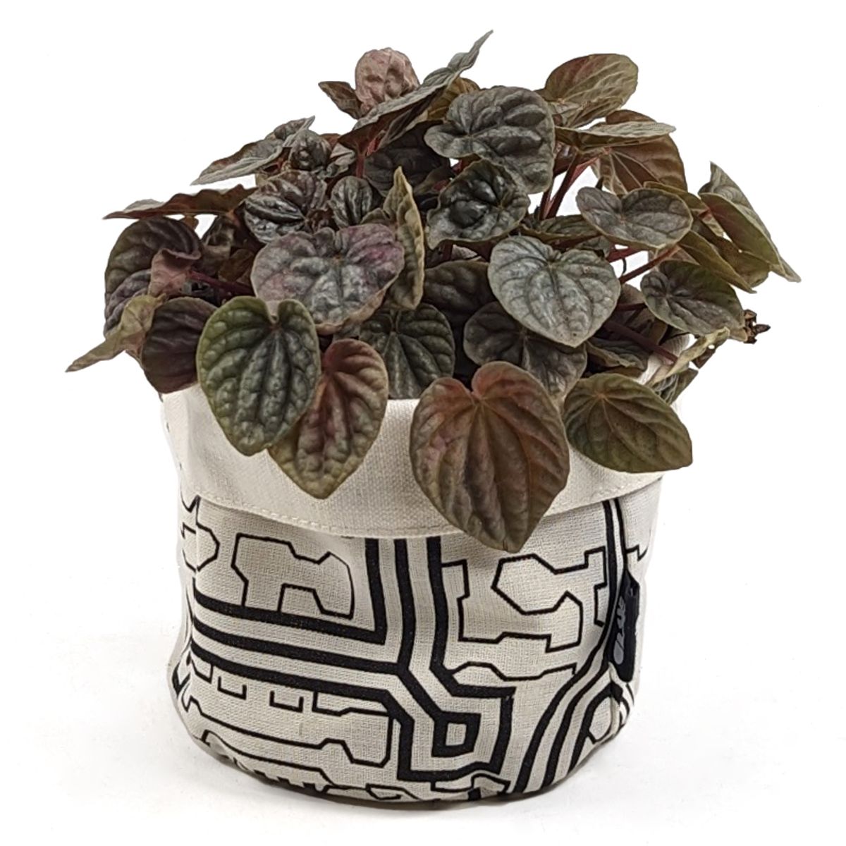 UN CUARTO VERDE - Porta Maceta de Tela Trazos Mini Canasto de macetas y plantas 11cm