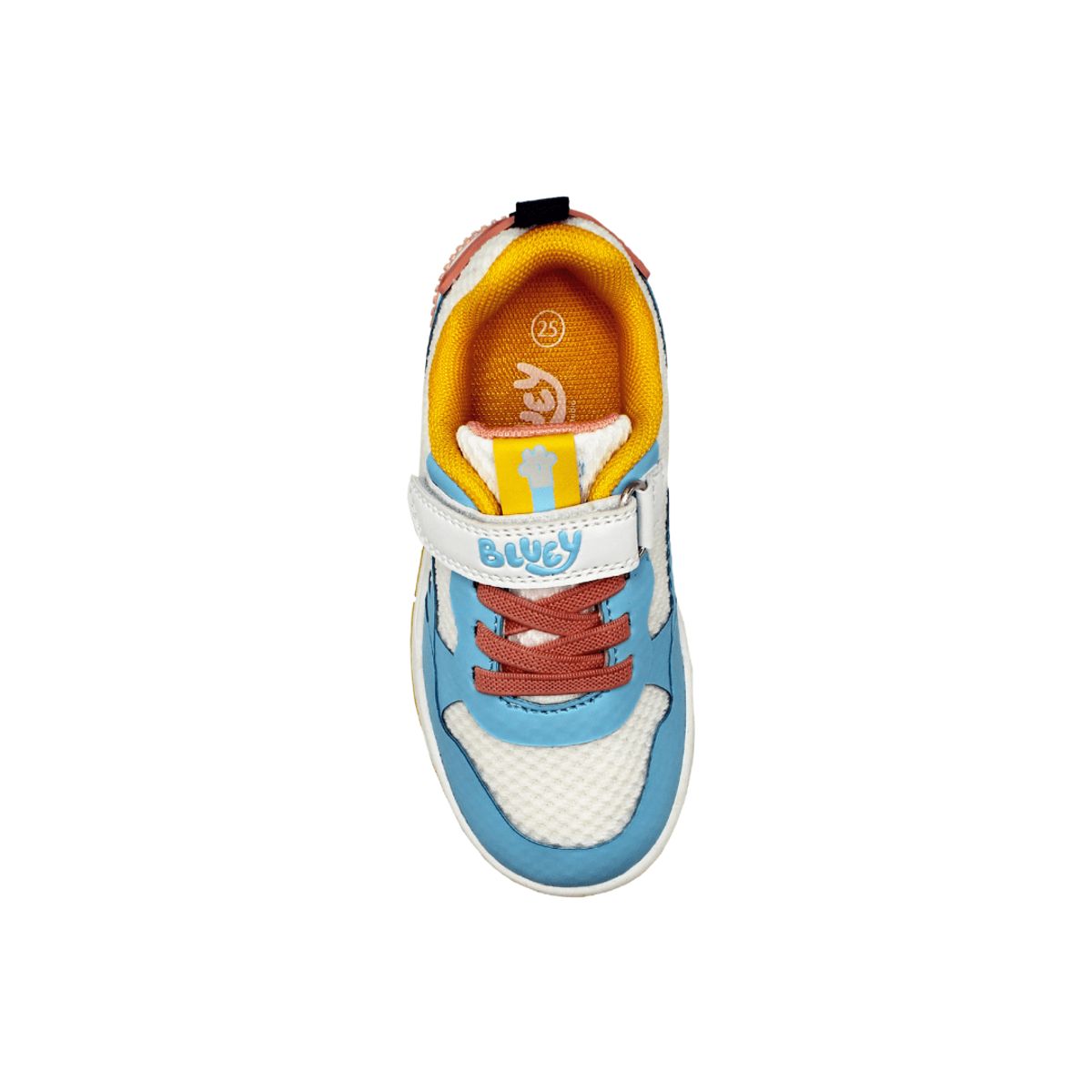 BLUEY - Zapatillas Urbanas Bluey Niño tipo Vans
