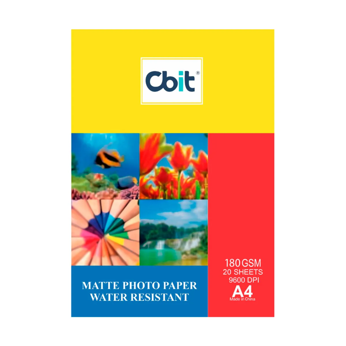 GENERICO - Pack Papel Fotográfico Mate y Fotográfico Adhesivo