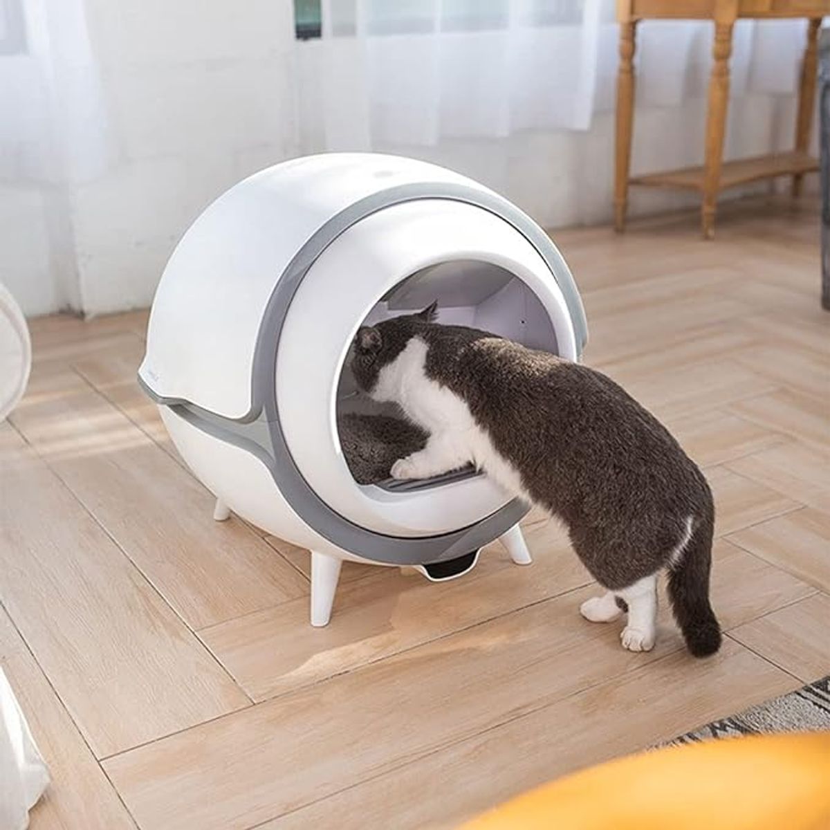 GENERICO - ARENERO INTELIGENTE (SMART LED) PARA GATOS HASTA 10 KILOS