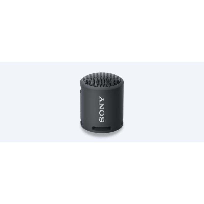 SONY - Sony Parlante Bluetooth SRS-XB100 Portátil Waterproof Negro