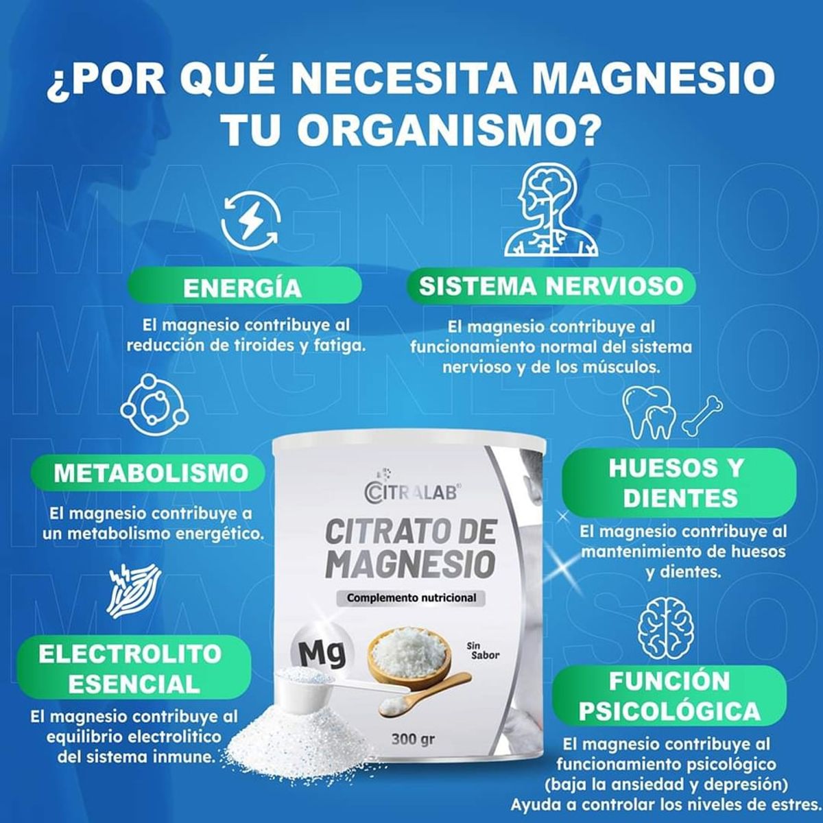 GENERICO - Citrato de Magnesio - 300 gramos