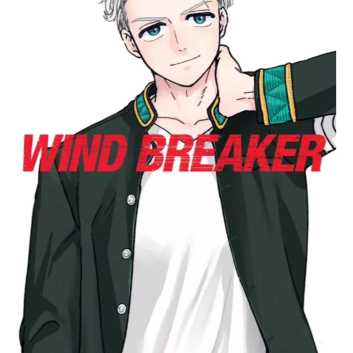 PANINI - WIND BREAKER N2 - MANGA