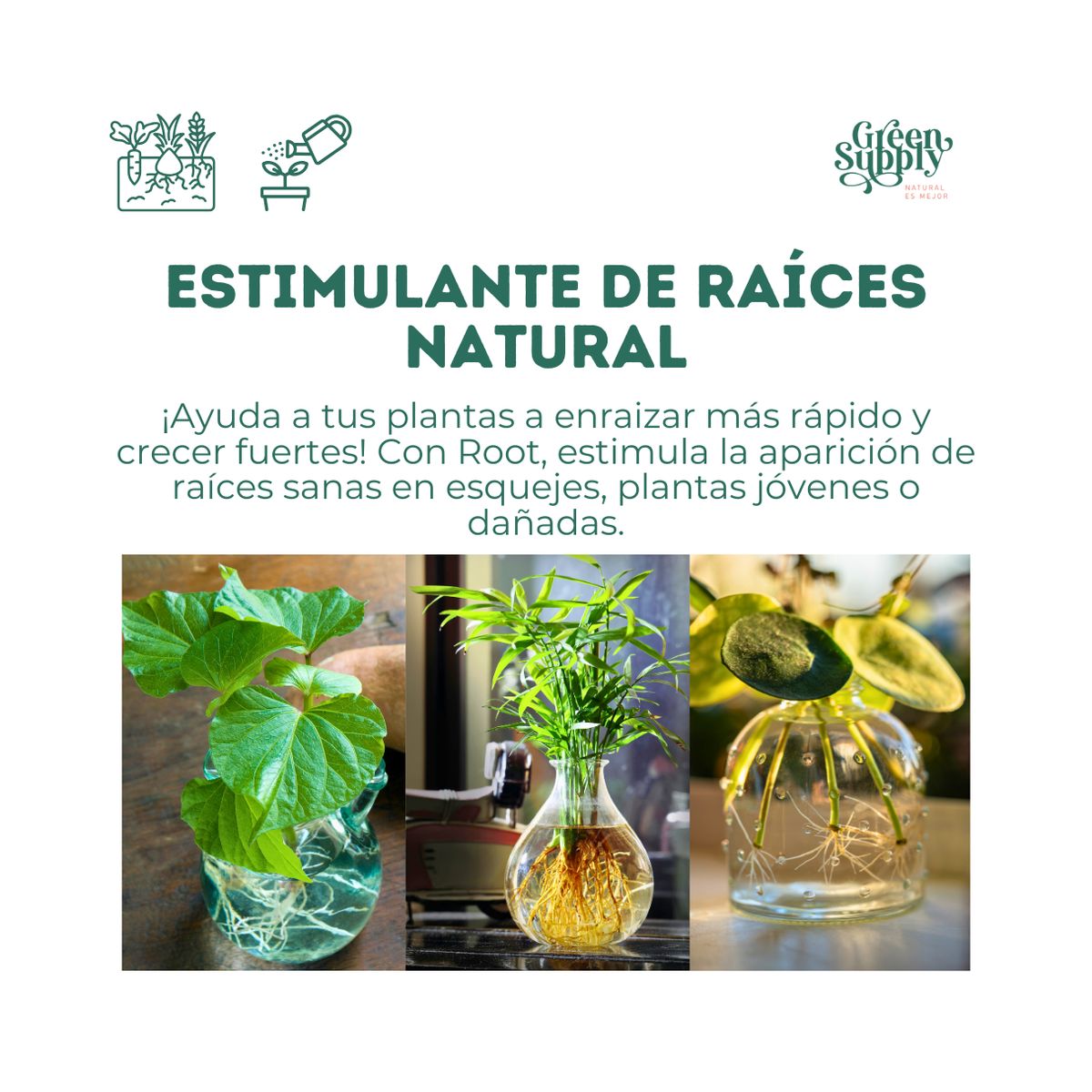 GREEN SUPPLY - Enraizante Pet Frendly - Root 1lt