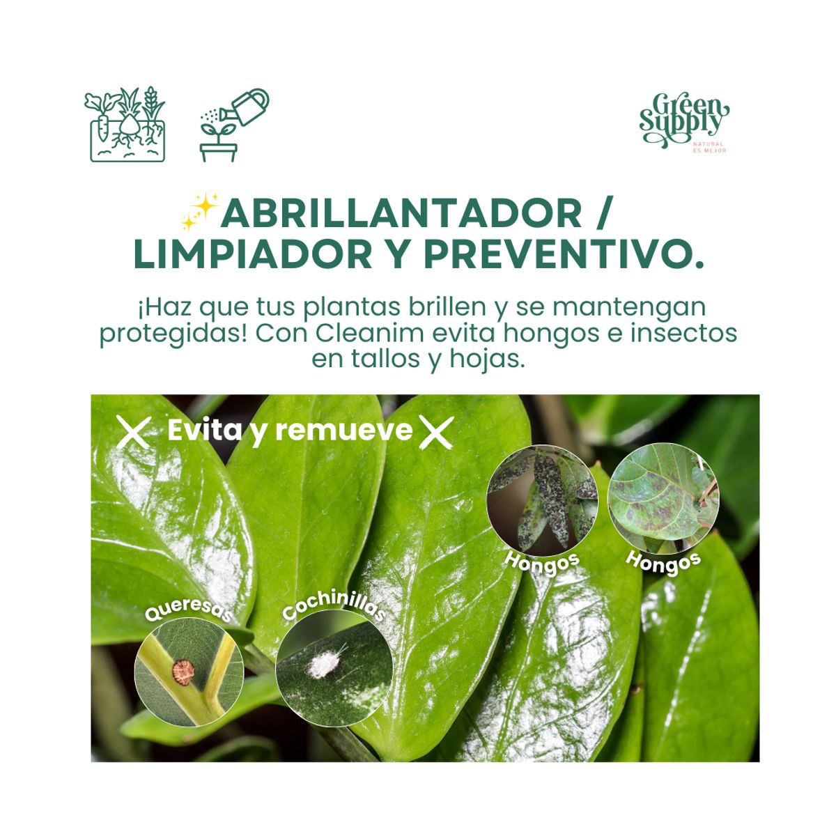 GREEN SUPPLY - Limpiador - Cleanim 1lt