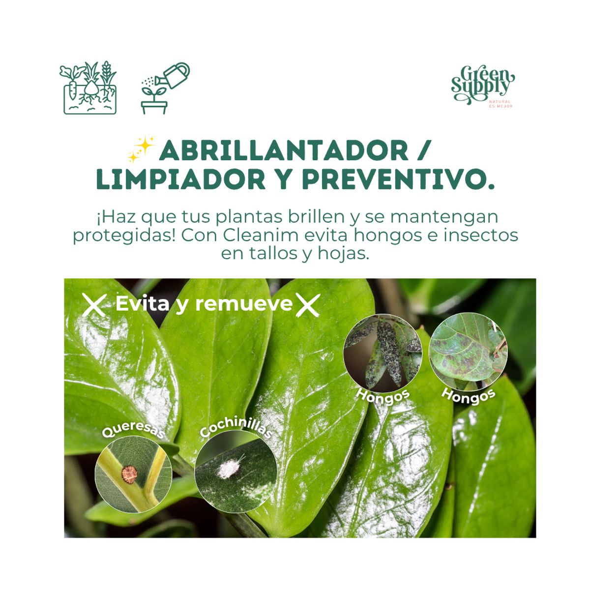 GREEN SUPPLY - Limpiador - Cleanim 250ml