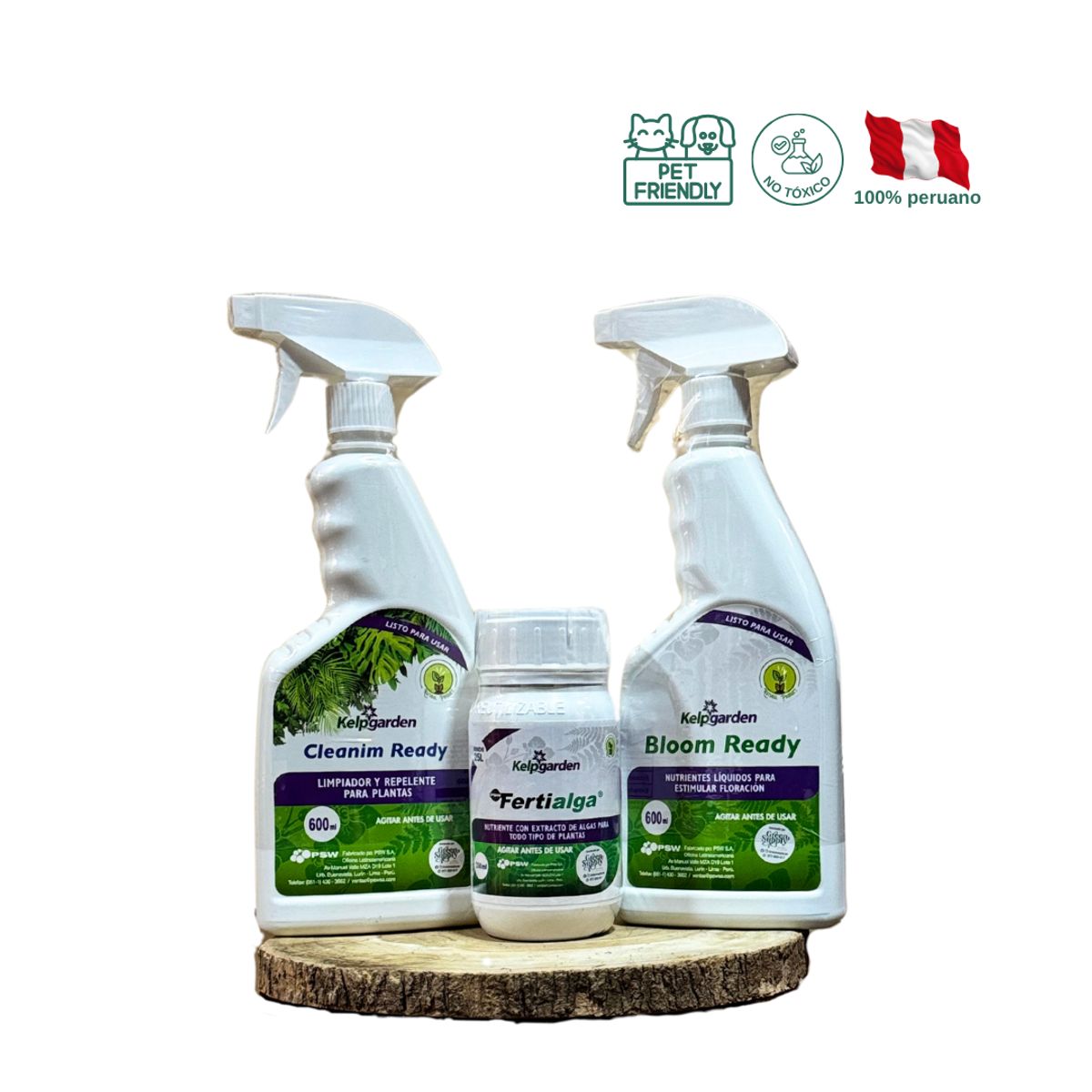 GREEN SUPPLY - Pack Orquídeas y Anturios - Pet Friendly