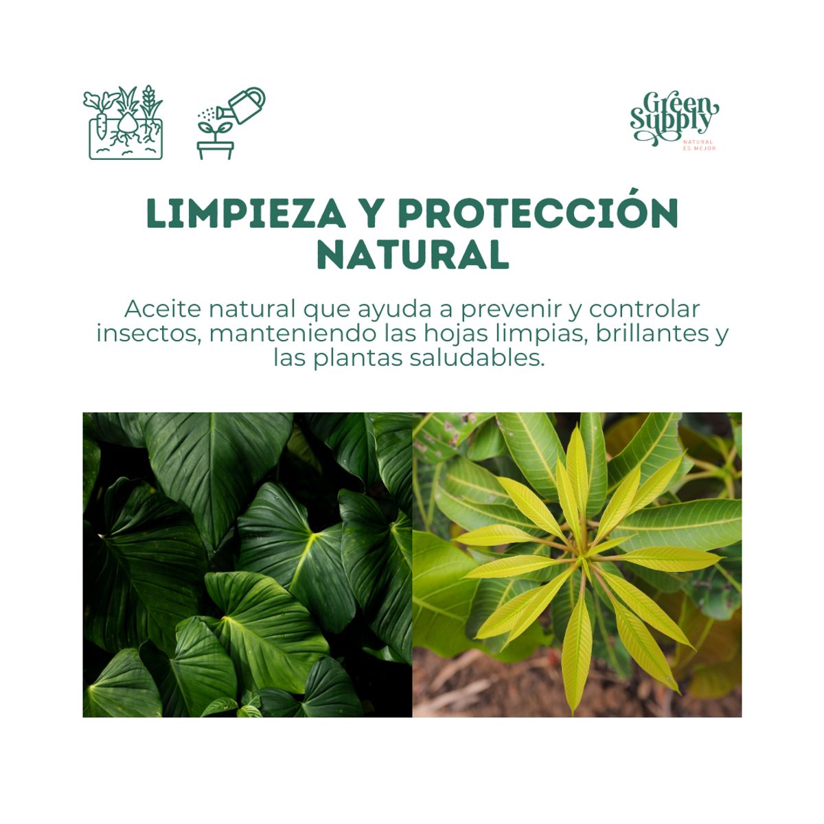 GREEN SUPPLY - Limpiador Pet Friendly  - Aceite de Neem 1lt