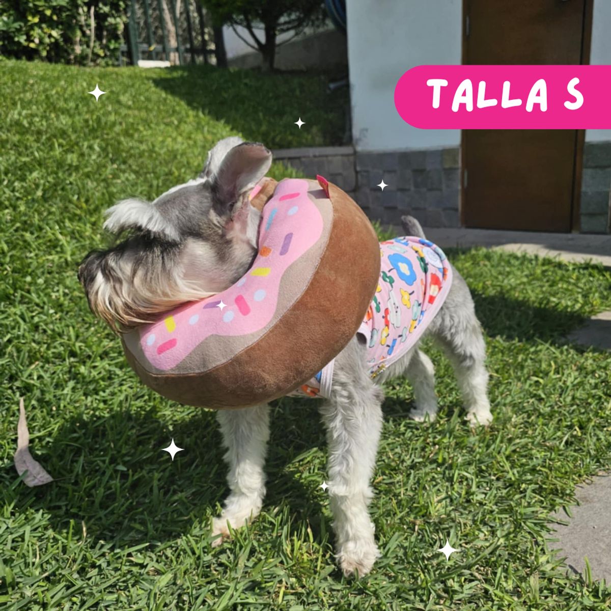 GENERICO - Collar Isabellino Donut Pink S 25-33 cm