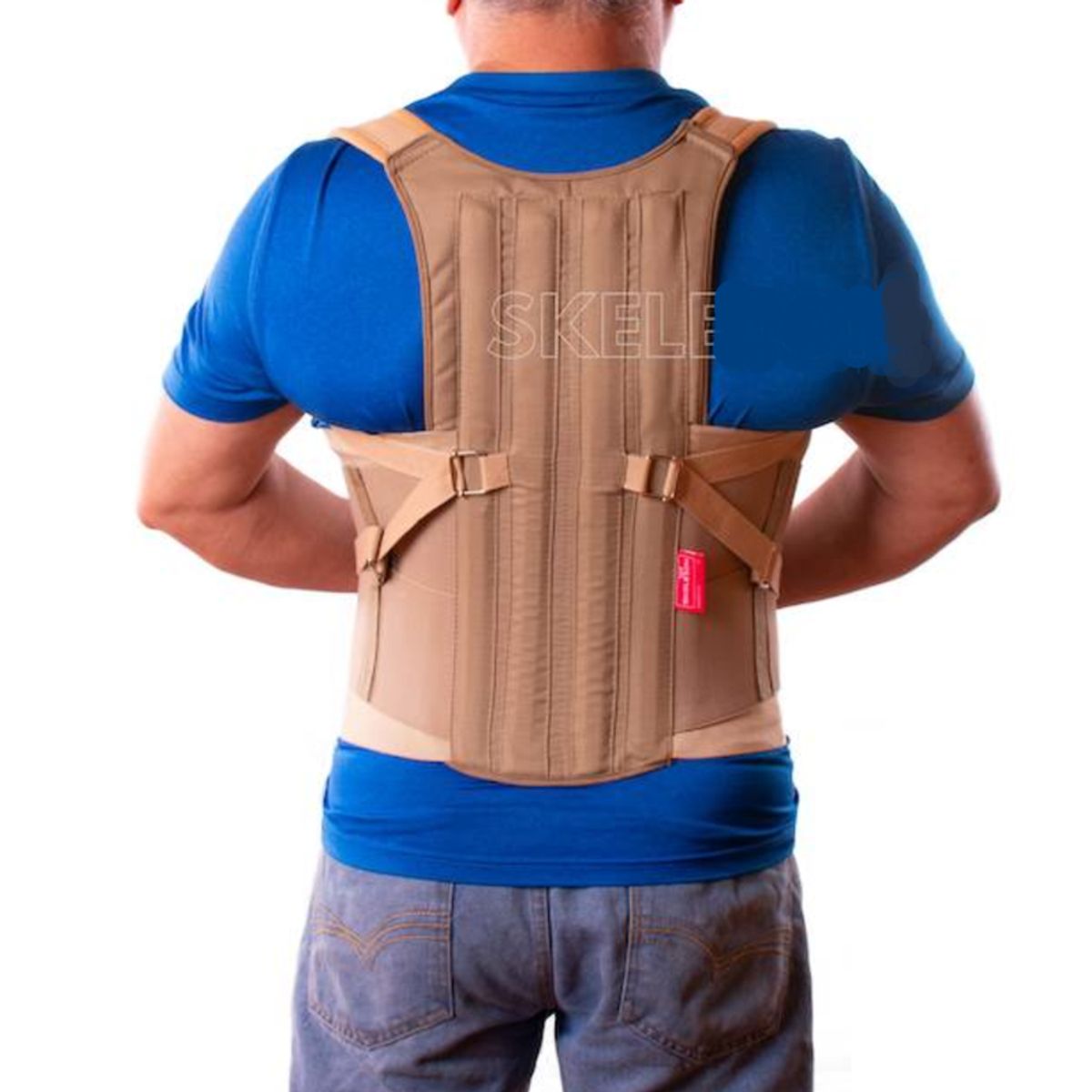SKELETON - Corrector Postura Faja Dorso Lumbar Sacro Ortopedica Unisex Skeleton