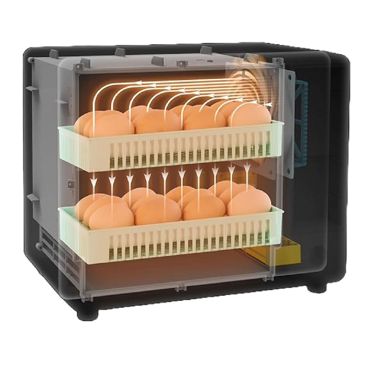 CAIM - Inku MICRO24 huevos INCUBADORA FULL AUTOMÁTICA