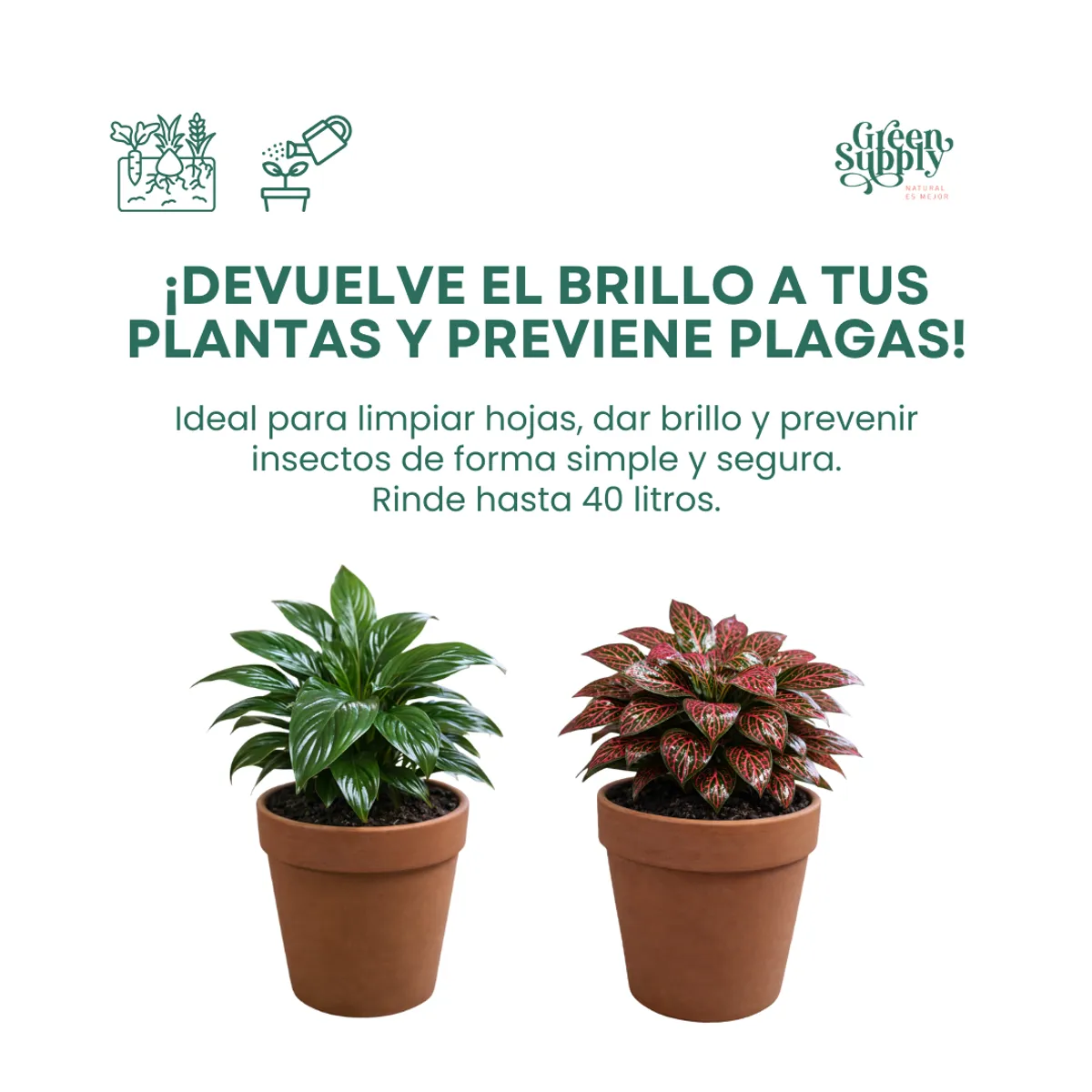 GREEN SUPPLY - Pack Limpieza  Pet Friendly - Jabón Potásico y Aceite de Neem 200ml