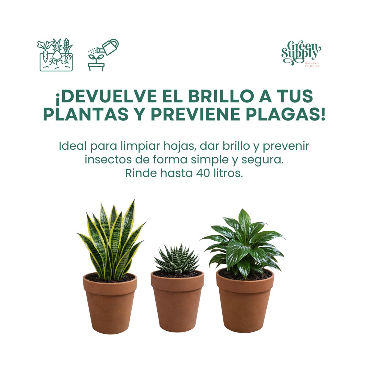 GREEN SUPPLY - Pack Limpieza 1lt   Pet Friendly - Jabón Potásico y Aceite de Neem