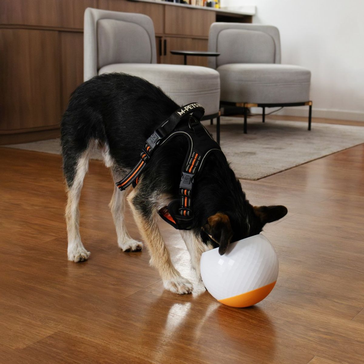 QHALITECH - Comedero para Perros y Gatos Ansiosos Naranja