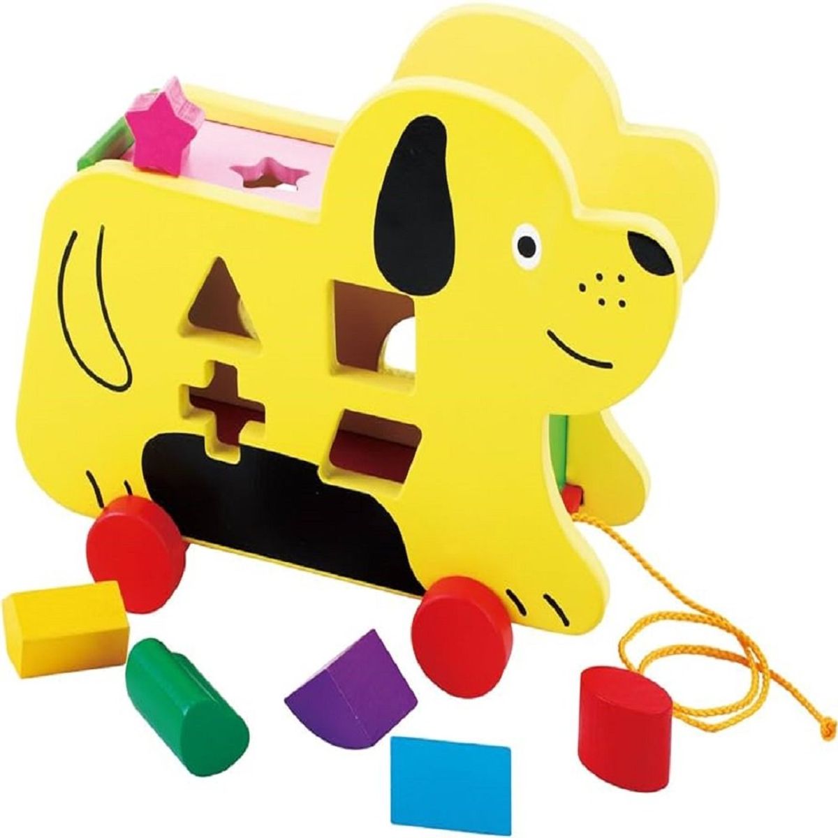 GENERICO - Perrito Encaje Clasificación De Formas Y Colores