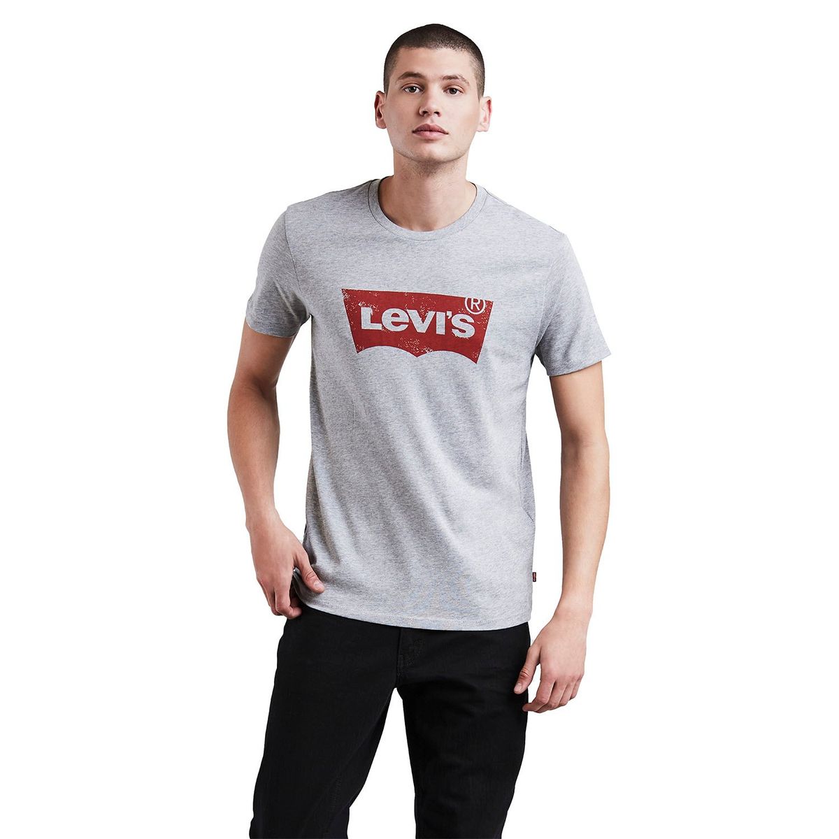LEVIS - Polo Urbano Hombre Levis Graphic SeT-In Neck