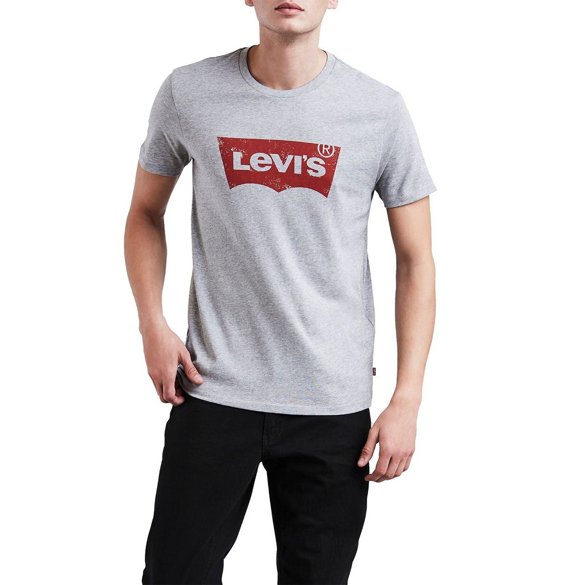 LEVIS - Polo Urbano Hombre Levis Graphic SeT-In Neck