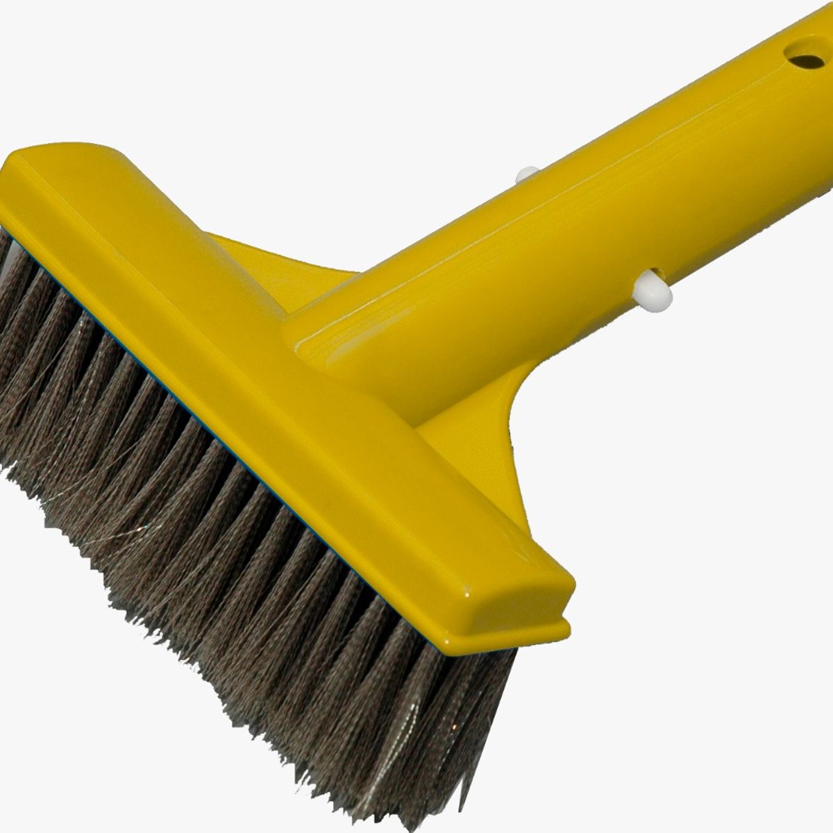 GENERICO - Escobilla para piscina con cerdas inox para algas algas marca Jacuzzi