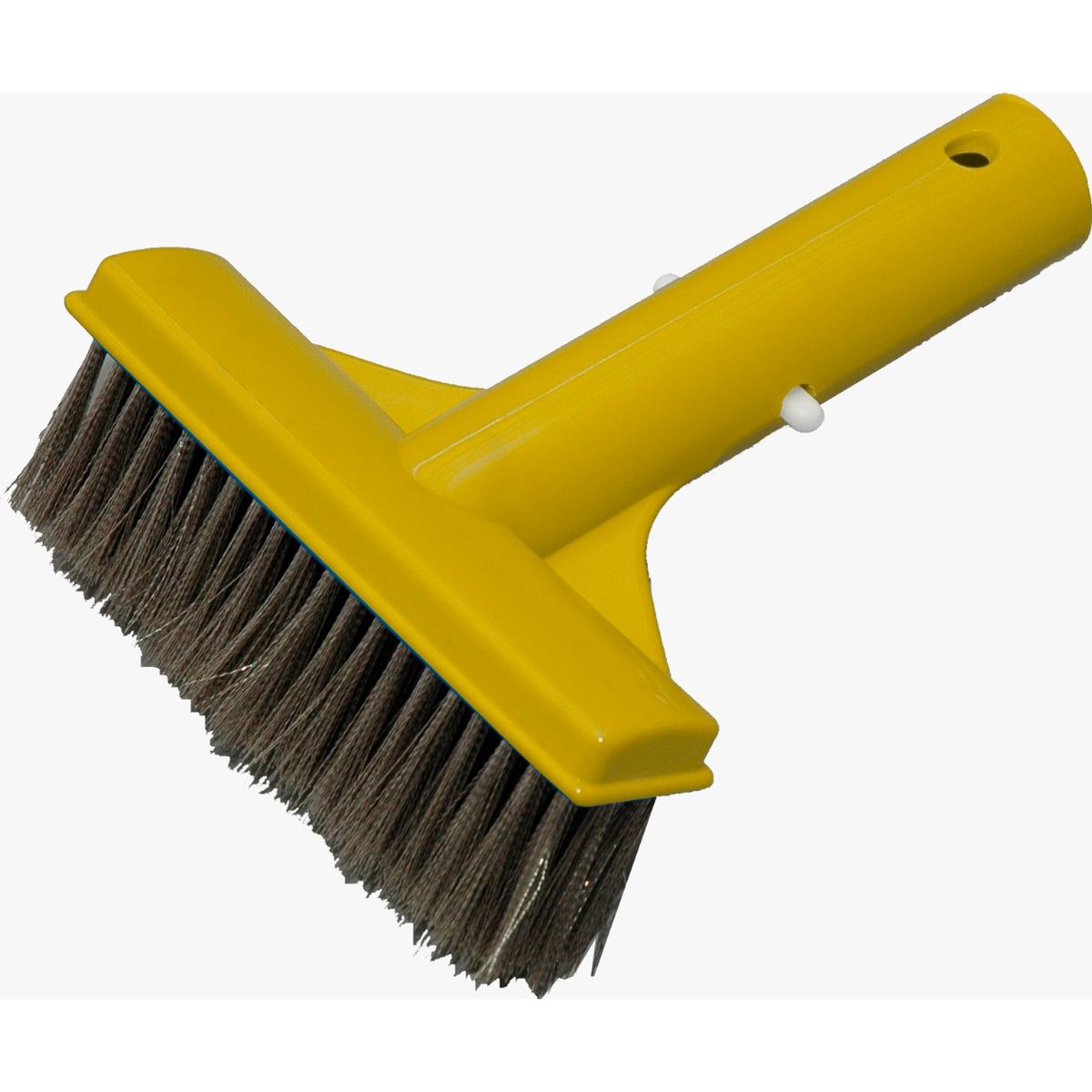 GENERICO - Escobilla para piscina con cerdas inox para algas algas marca Jacuzzi