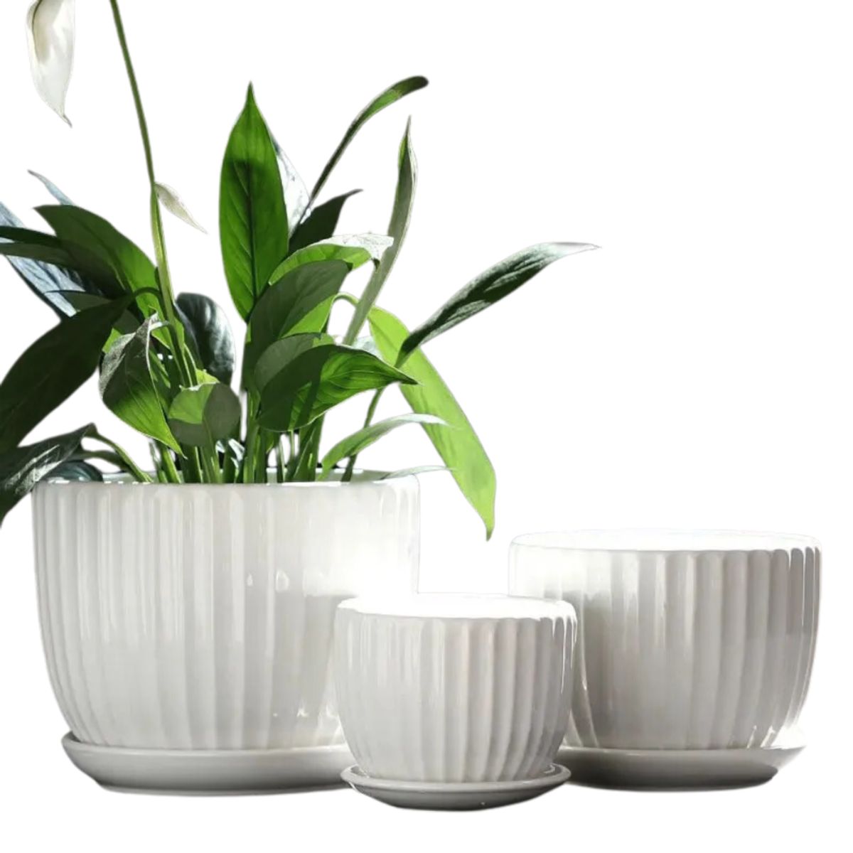 HYGGE - Set de 3 Macetas de Cerámica Blancas con Base