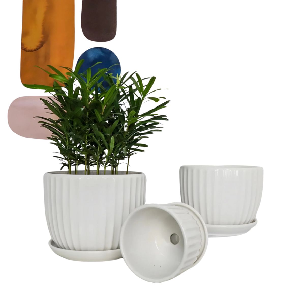 HYGGE - Set de 3 Macetas de Cerámica Blancas con Base