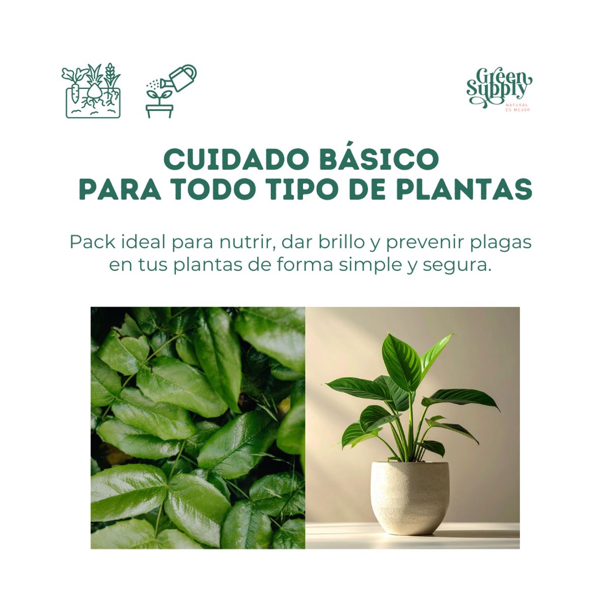 GREEN SUPPLY - Pack Básico de Cuidado Para plantas Pocas Plantas  - Pet Friendly