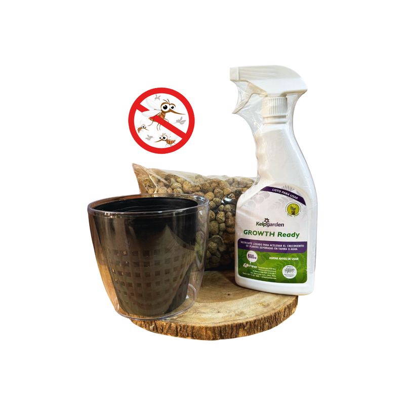 GREEN SUPPLY - Pack Semi Hidropónico - Pet Friedly