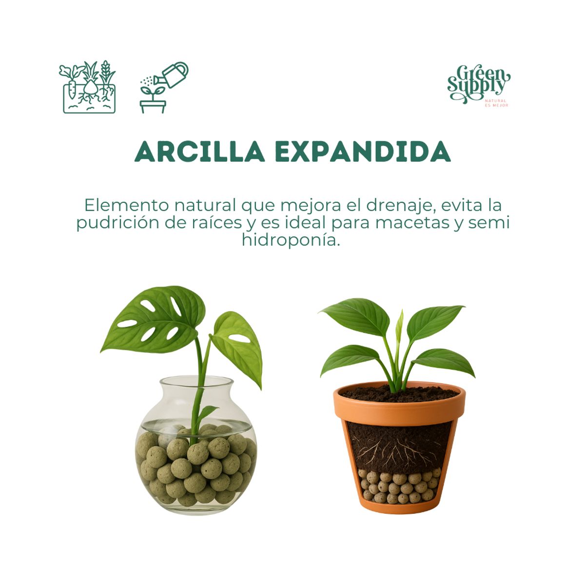 GREEN SUPPLY - Sustrato - Arcilla expandida 3 lts.