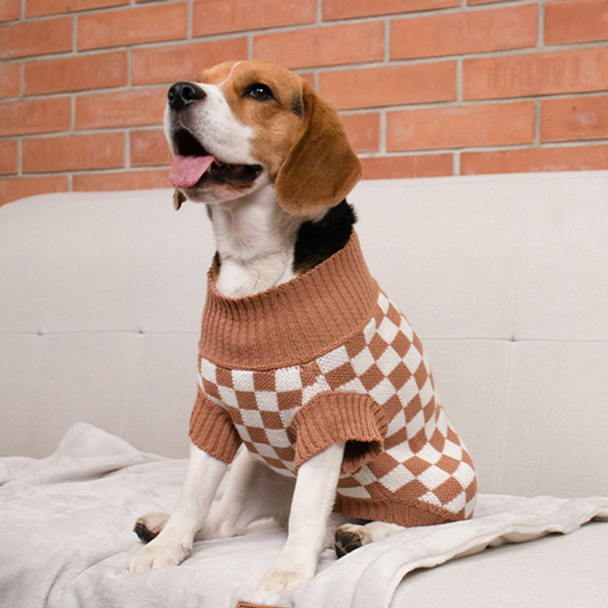 PRETTYPETS - SUETER CUADROS MARRON S PARA MASCOTAS PRETTY PET