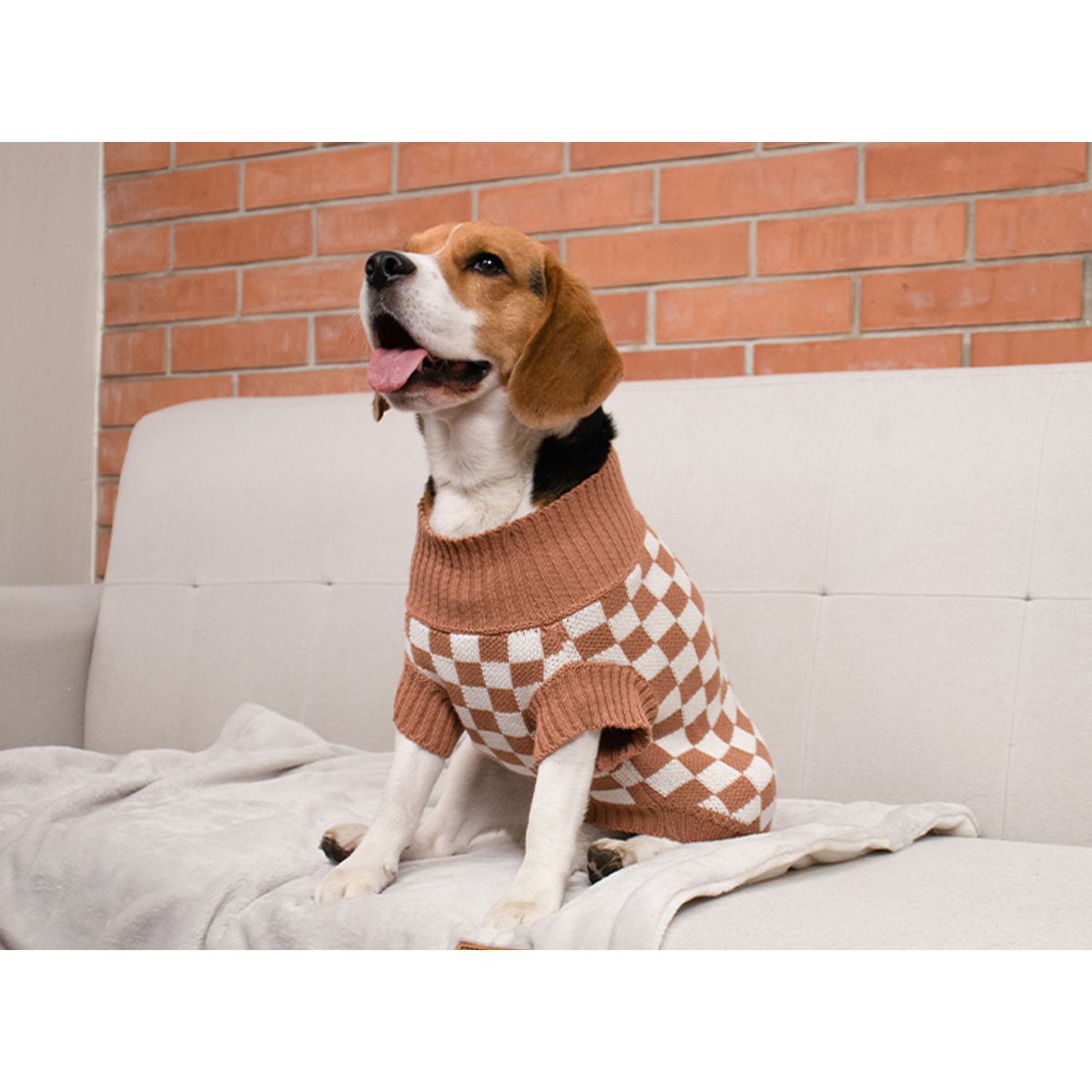 PRETTYPETS - SUETER CUADROS MARRON S PARA MASCOTAS PRETTY PET