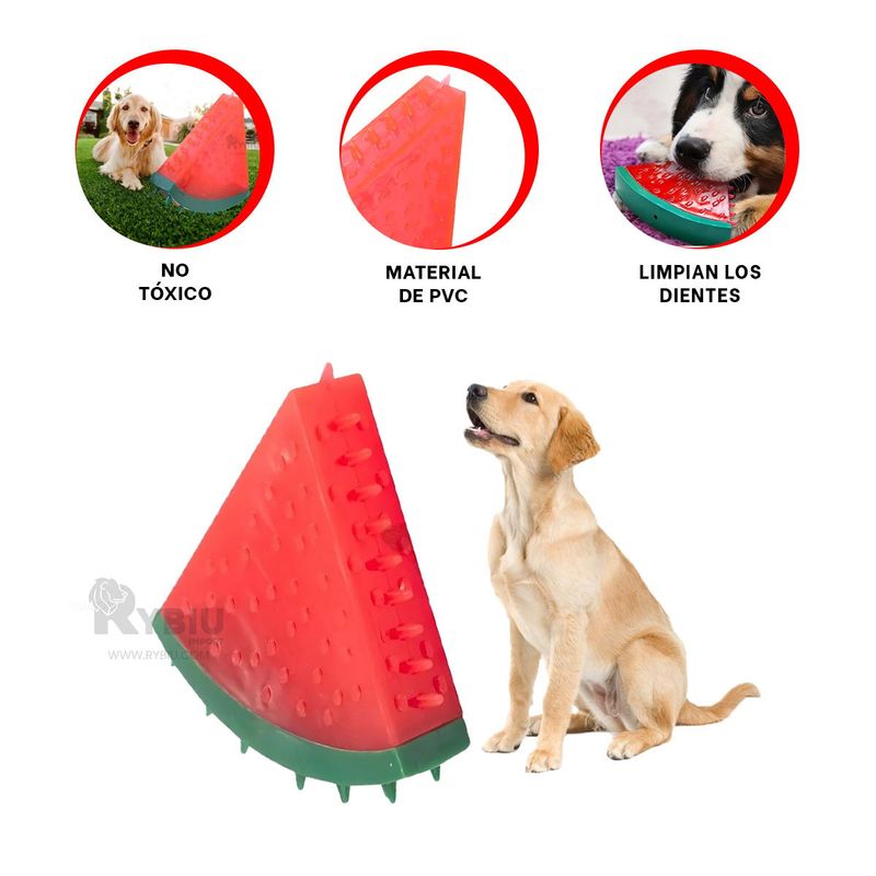 GENERICO - Juguete Resistente de Perros de Tono Rojo Y+Papel de Regalo