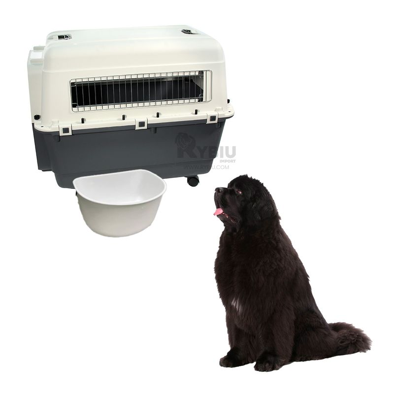 GENERICO - Portadora Canina L120 en Plomo Oscuro Y+Banderitas adhesivas