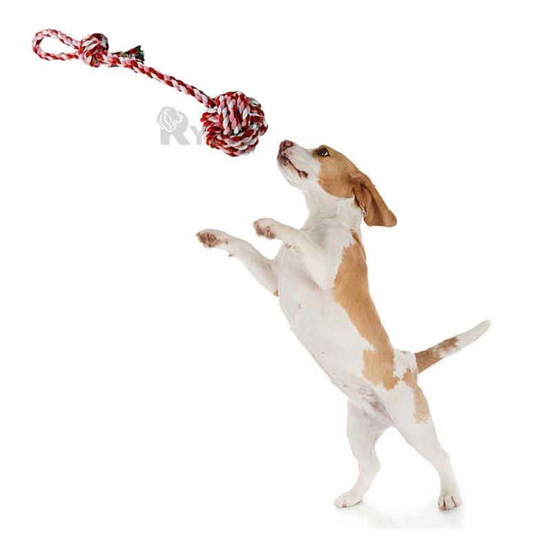 GENERICO - Soga con Agarradera Rosado y Rojo Y+Envoltorio de Regalo