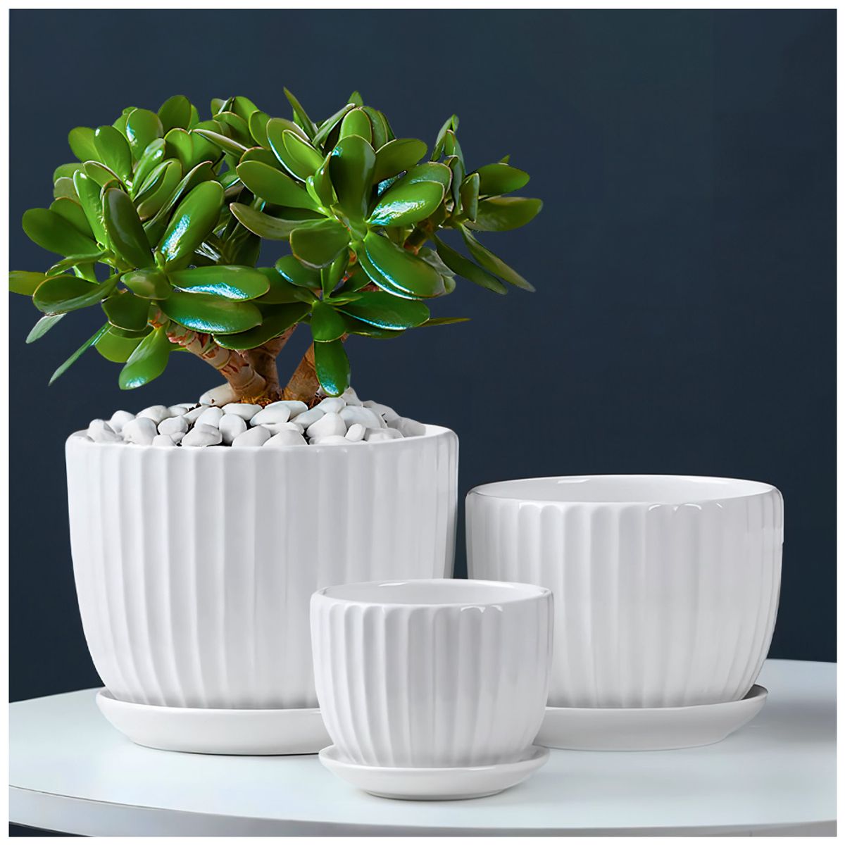 KELLER - Set de 3 Macetas Decorativas Maceteros Circulares 21D