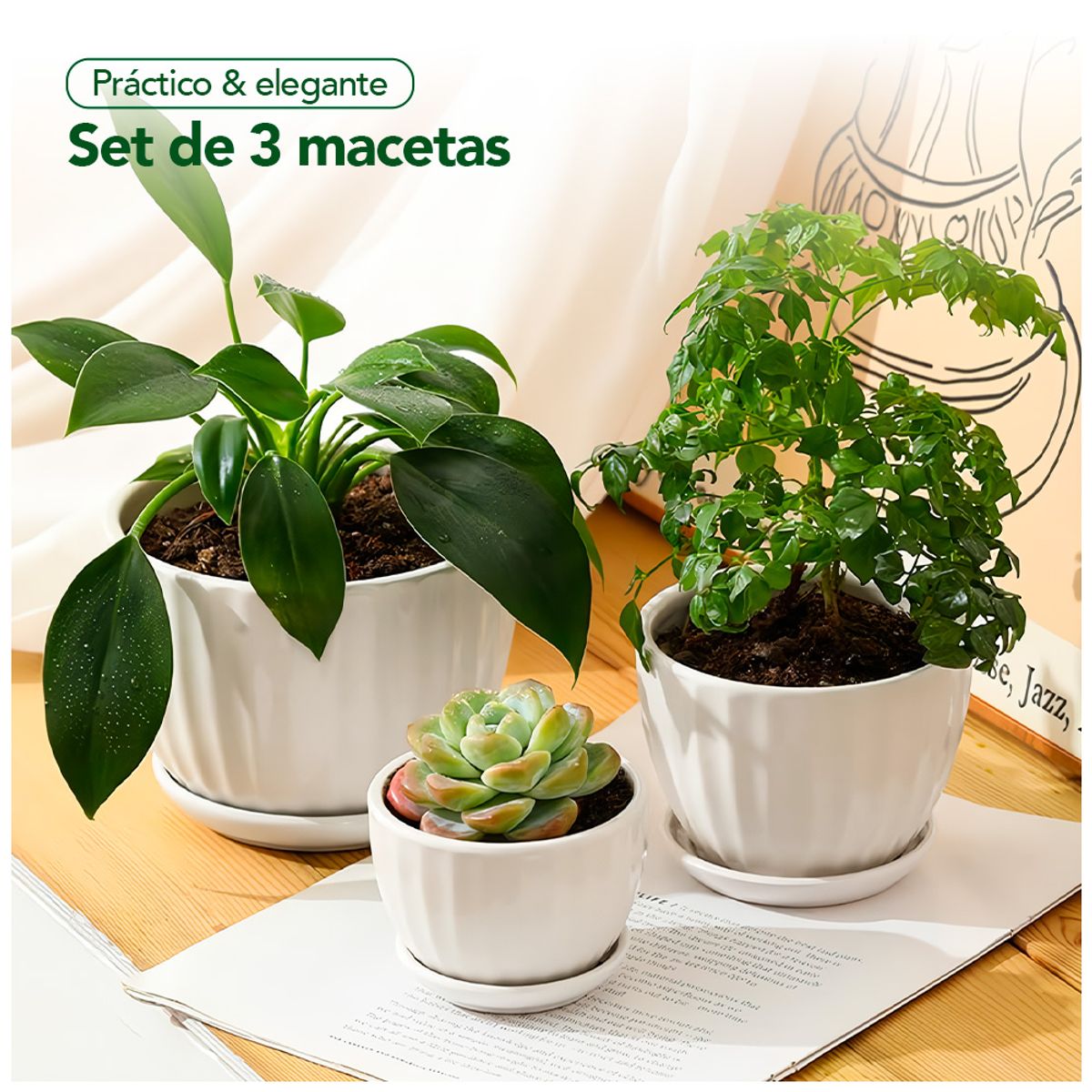 KELLER - Set de 3 Macetas Decorativas Maceteros Circulares 21D