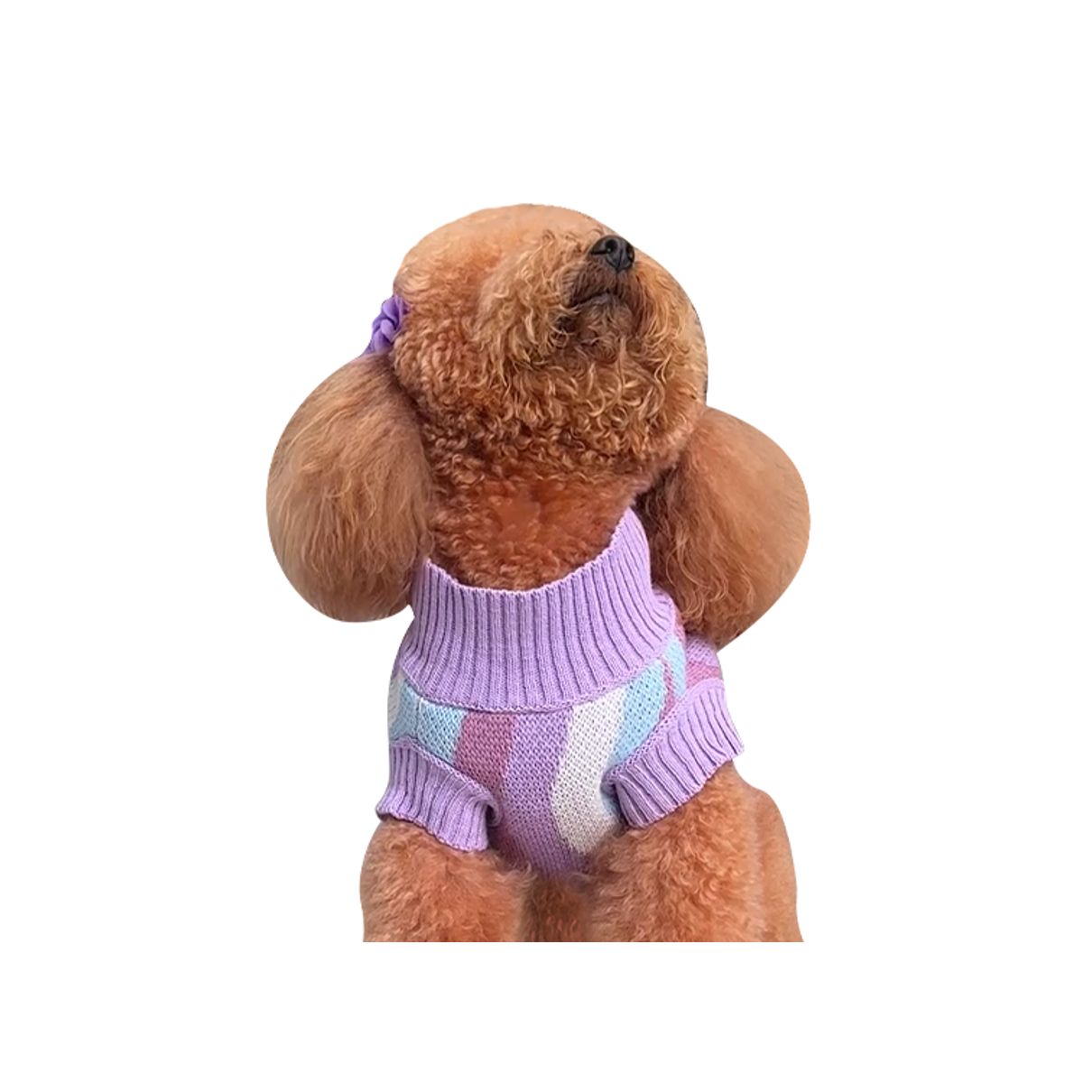 PRETTYPETS - SUETER ONDAS LILA S PARA MASCOTAS PRETTY PET