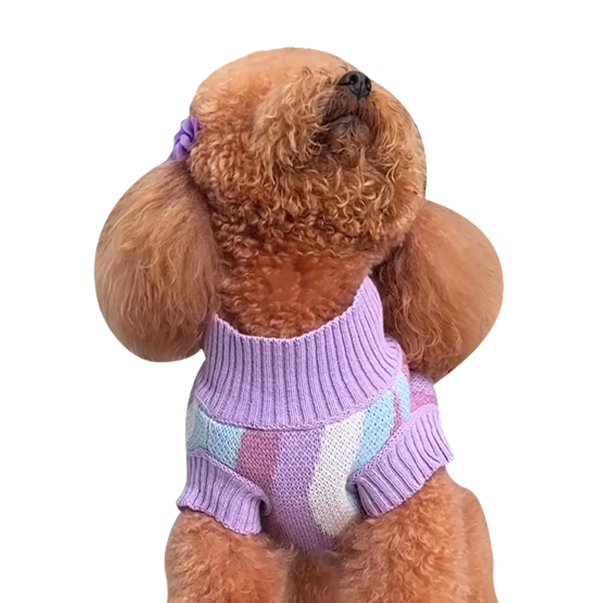 PRETTYPETS - SUETER ONDAS LILA XS PARA MASCOTAS PRETTY PET