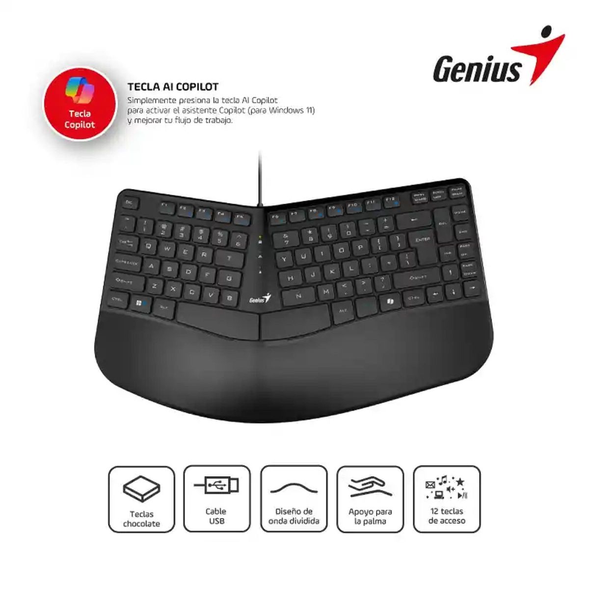 GENIUS - TECLADO GENIUS ERGO KB-700 CTECLA COPILOT USB SP BLACK