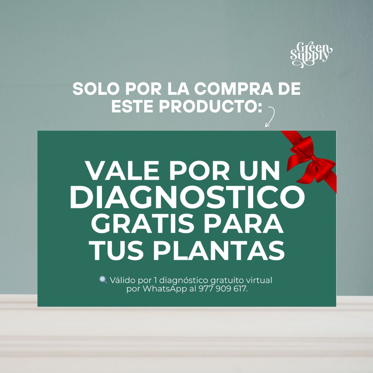 GREEN SUPPLY - Sustrato - Fibra de Coco 3lt