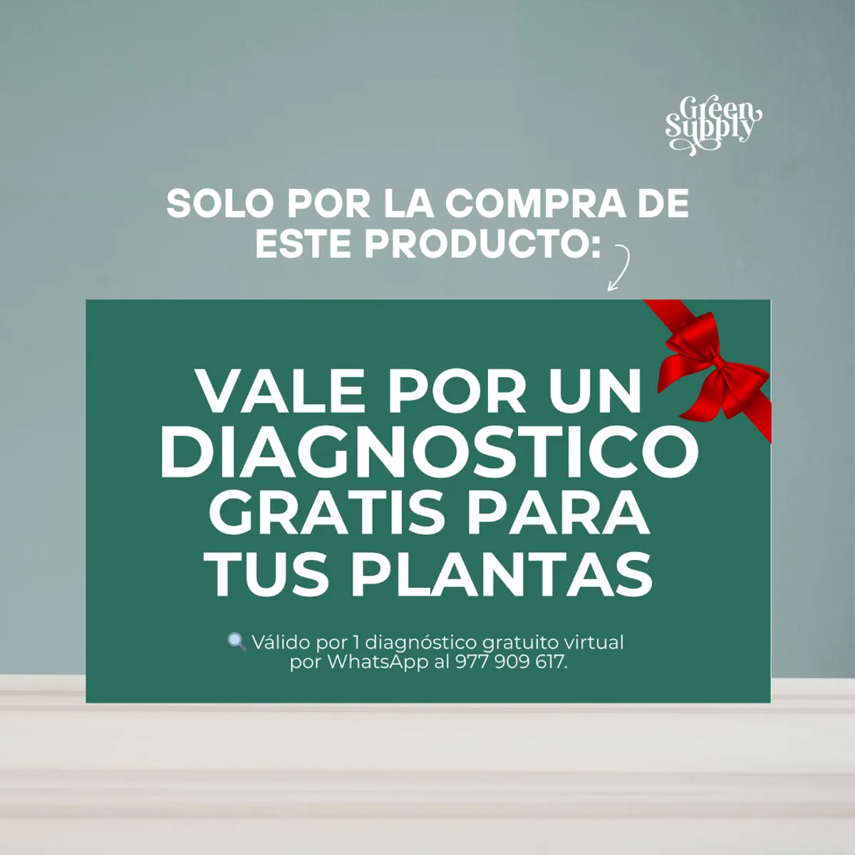 GREEN SUPPLY - Sustrato - Piedra Pómez 1lt