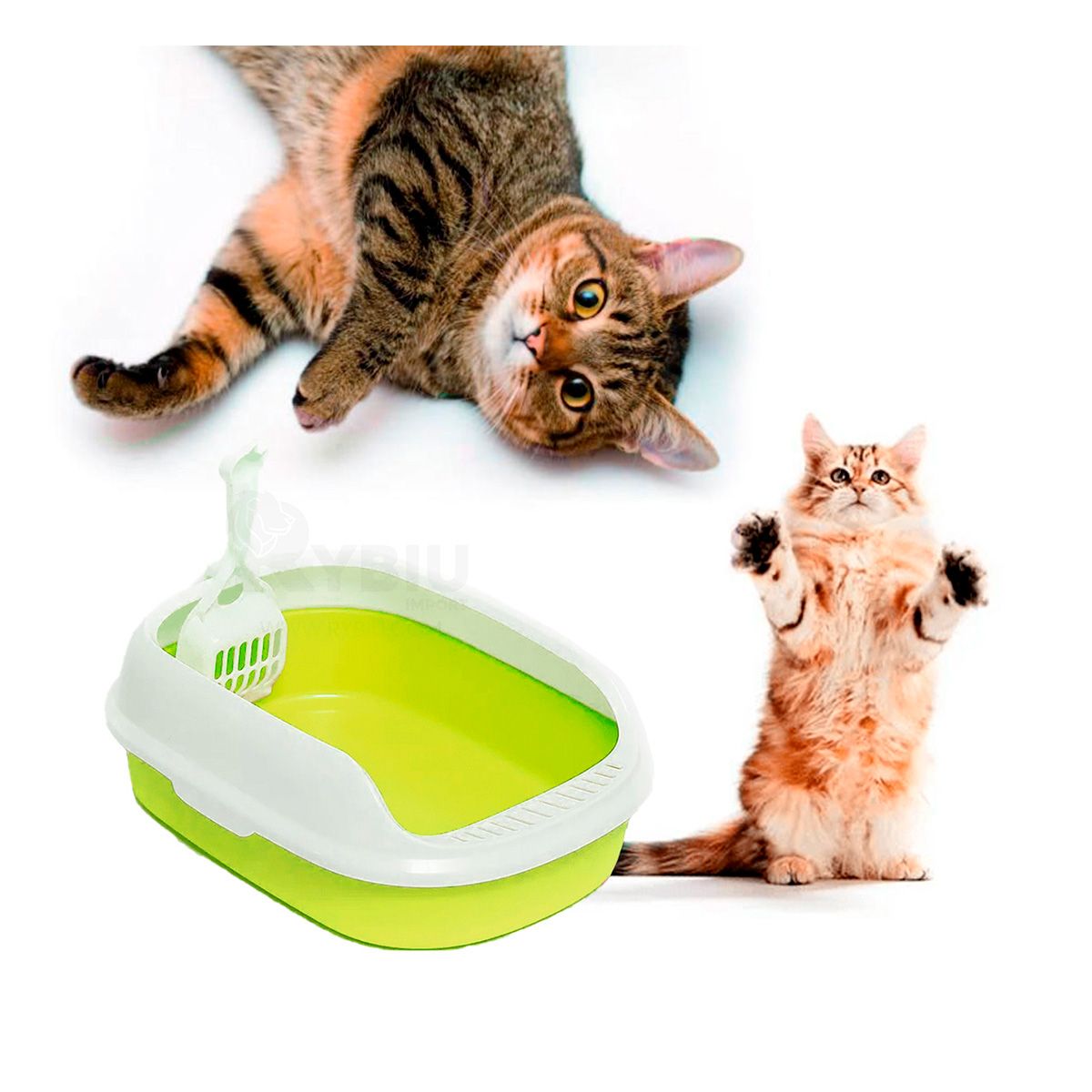 GENERICO - Arenero con Espatula Cat en Verde Y+Papel de Regalo