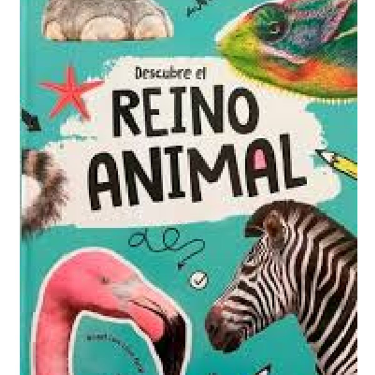 GENERICO - Descubre el reino animal