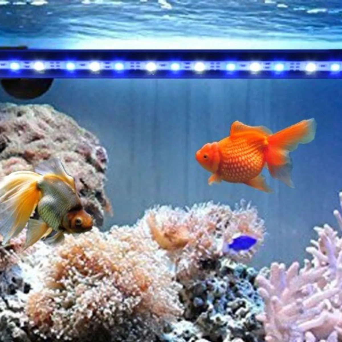 GENERICO - Luz LED de Acuario Sumergible Pecera Lampara 50 Luces